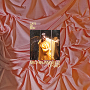 the album cover for Cate Le Bon - Michelangelo Dying