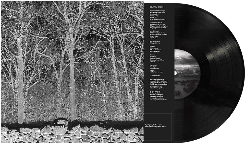 the album cover for Pile - Sunshine & Balance Beams