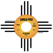 the album cover for Large Professor - In the Sun