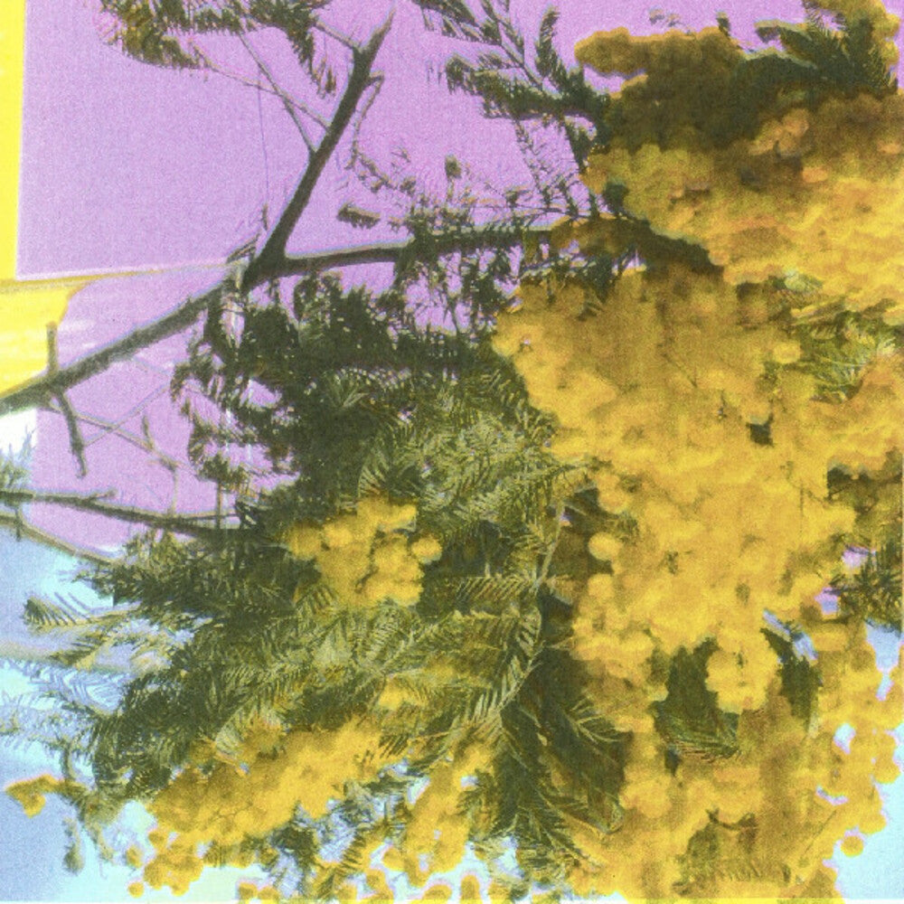 the album cover for Four Tet - Into Dust (Still Falling) (Ep) [Indie Exclusive]