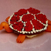 the album cover for Sharp Pins - Turtle Rock