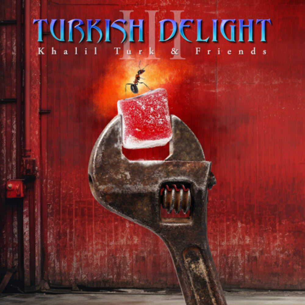 the album cover for Turkish Delight Volume Three / Various - Turkish Delight Volume Three / Various