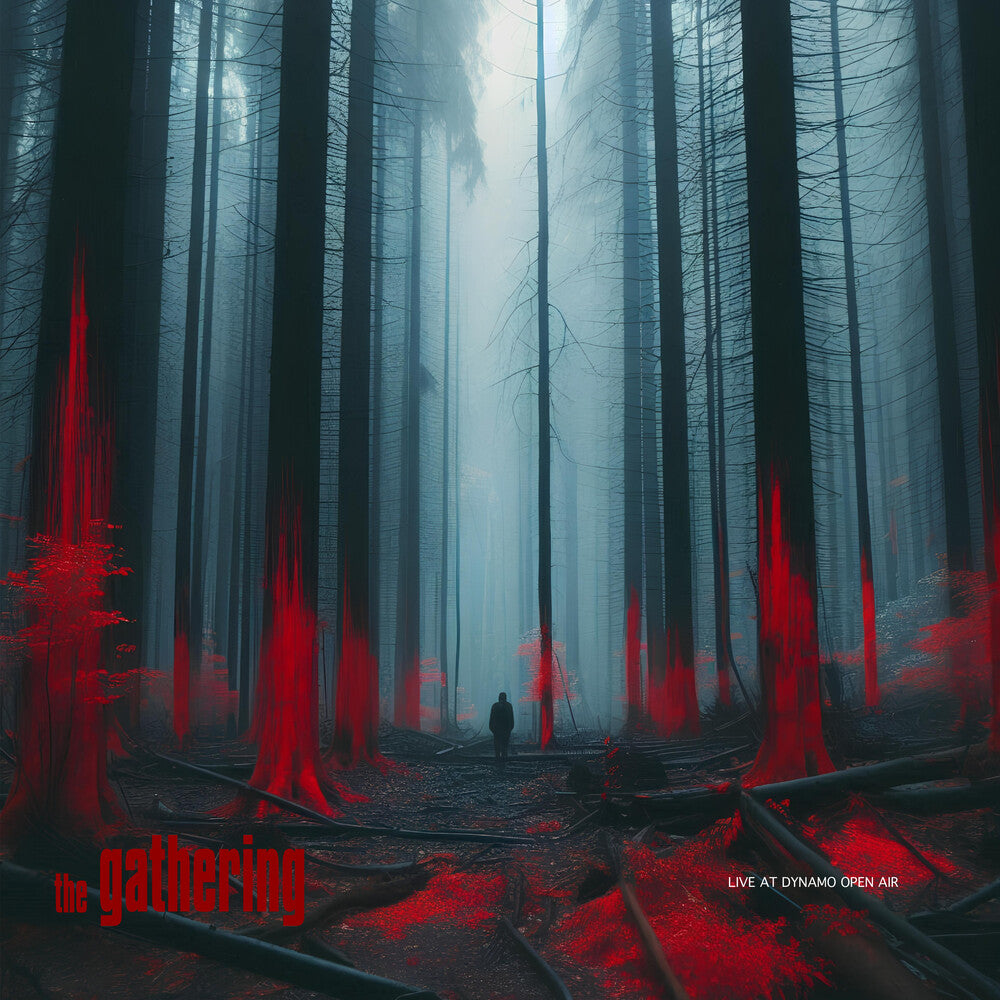 the album cover for Gathering - Live At Dynamo Open Air (Uk)