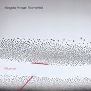the album cover for Magda Mayas Filamental - Murmur