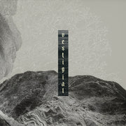 the album cover for Vestigial - Descending Vastness
