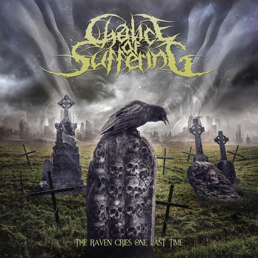 the album cover for Chalice of Suffering - Raven Cries One Last Time