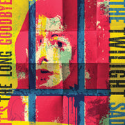 the album cover for Twilight Sad - IT'S THE LONG GOODBYE