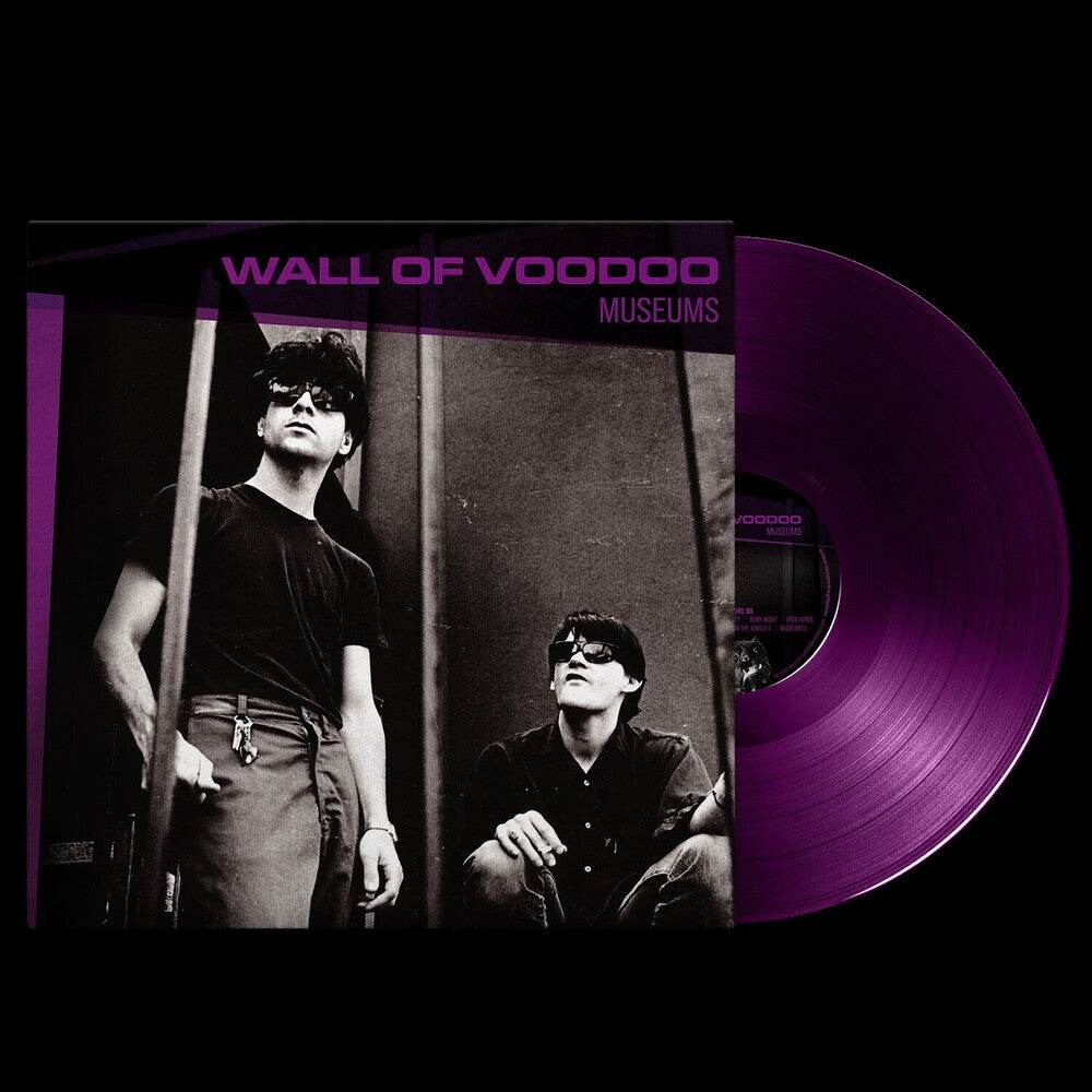 the album cover for Wall Of Voodoo - Museums [Reissue]