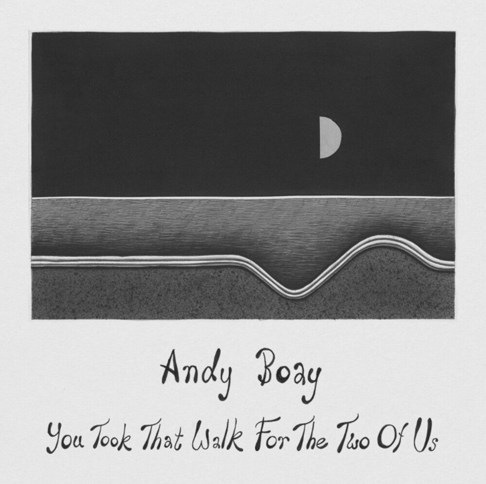the album cover for Andy Boay - You Took That Walk For The Two Of Us