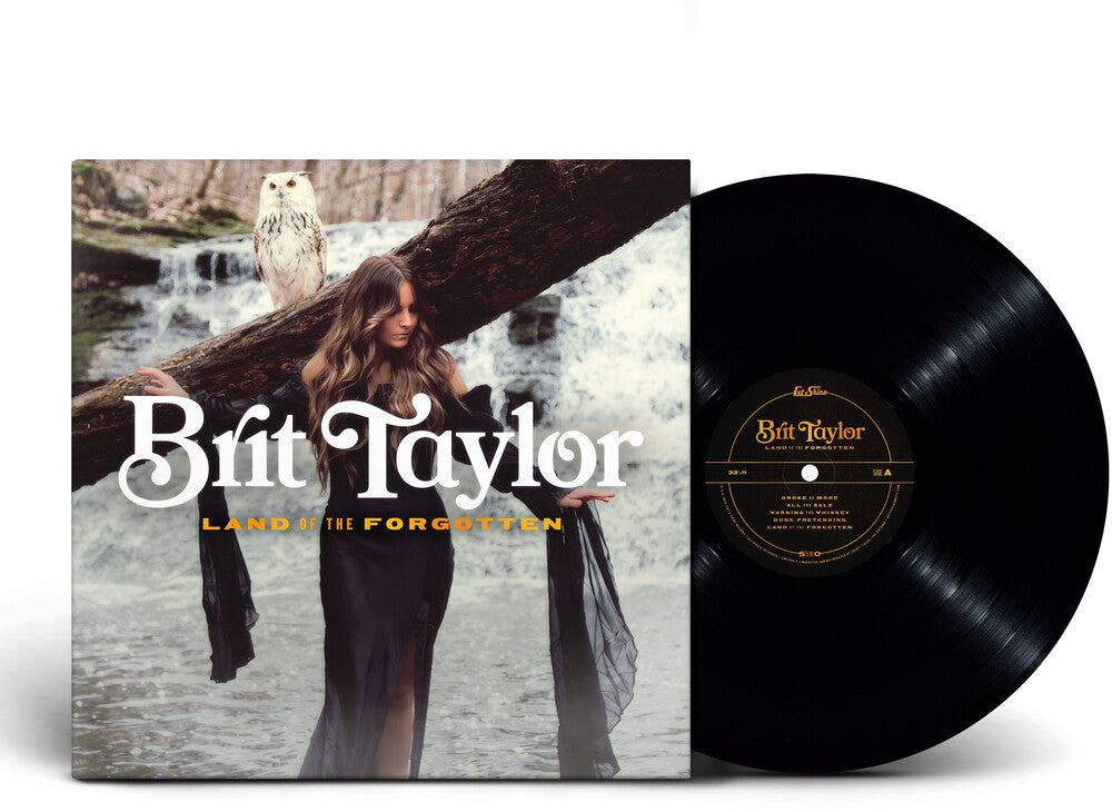 the album cover for Brit Taylor - Land Of The Forgotten