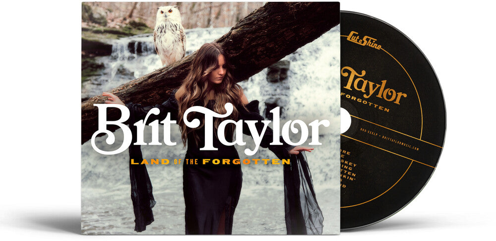 the album cover for Brit Taylor - Land Of The Forgotten