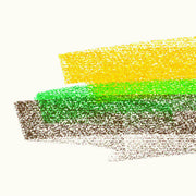 the album cover for Flore Laurentienne - Volume Iii