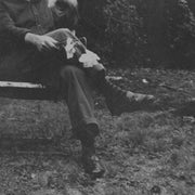 the album cover for NEEDTOBREATHE - The Long Surrender