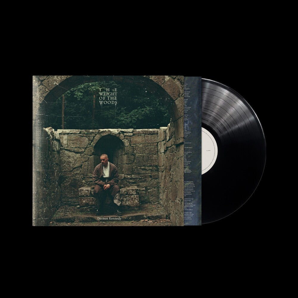the album cover for Dermot Kennedy - The Weight of the Woods [Recycled Black]