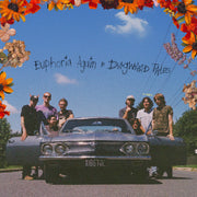 the album cover for Euphoria Again & Dogwood Tales - Destination Heaven