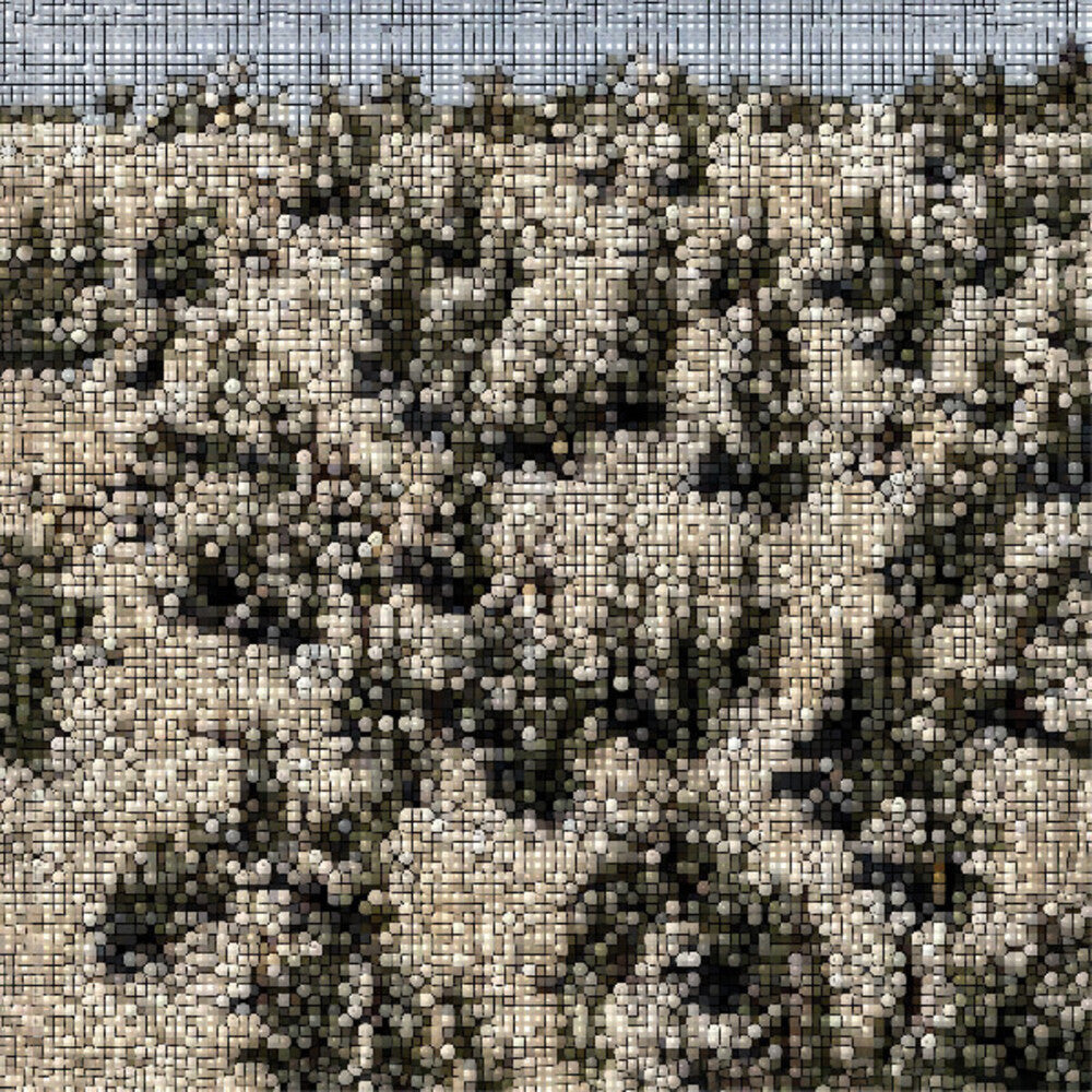 the album cover for Gregory Uhlmann - Extra Stars [Digipak]