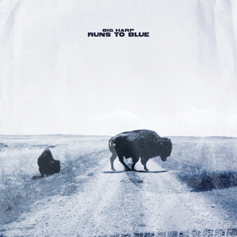 the album cover for Big Harp - Runs To Blue [Blue]