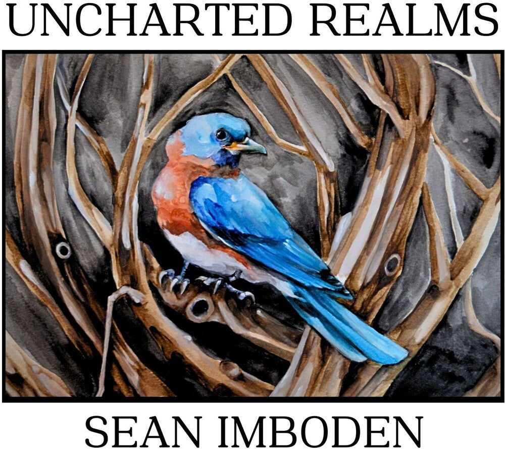the album cover for Sean Imboden - Uncharted Realms [Digipak]