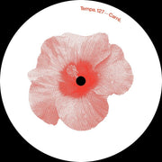 the album cover for Carre - Hibiscus (Ep)