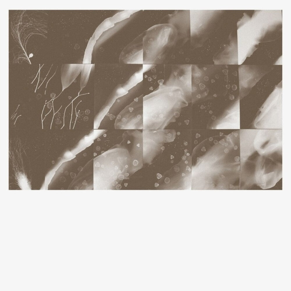 the album cover for Peter Knight - For A Moment The Sky Knew My Name