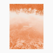 the album cover for Brad Rose  E - Sound Leaves