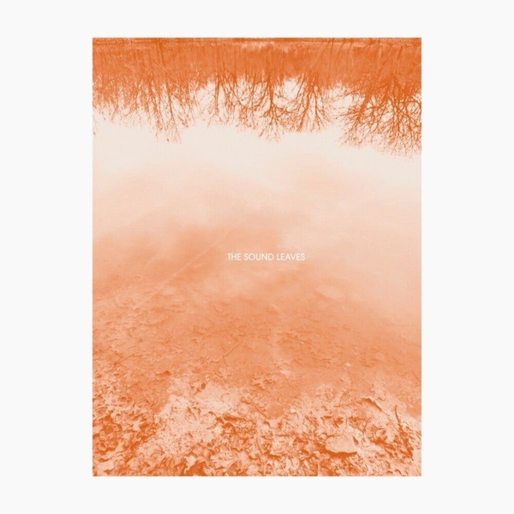 the album cover for Brad Rose  E - Sound Leaves