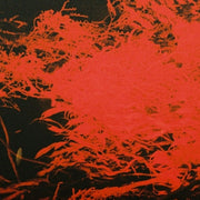 the album cover for Anthony Naples - In Studio Magic