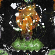 the album cover for F Ampism - Vertical Luminous