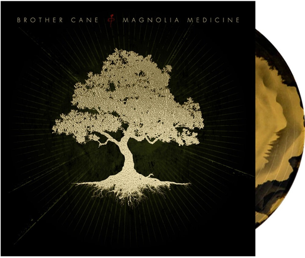 the album cover for Brother Cane - Magnolia Medicine [Indie Exclusive] (Blk) [Clear Vinyl] (Gol)