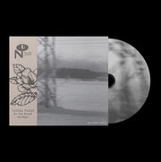 the album cover for Tacoma Radar - No One Waved Goodbye