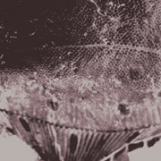 the album cover for Mark Ijzerman - Flounder Maps