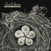 the album cover for Iverson & Walters - First Collection (Aniv) [Reissue]