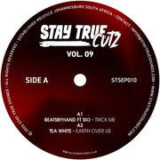 the album cover for Stay True Cutz Vol. 9 / Various - Stay True Cutz Vol. 9 (Various Artists)