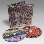 the album cover for Natural Information Society - Automaginary + Totality