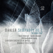 the album cover for Wiebke Lehmkuhl - Symphony No. 2