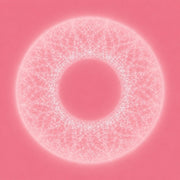 the album cover for Merzbow & Pedro Vian - Bardo Thodol