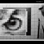 the album cover for Sakanaction - Adapt (180g/2lp)