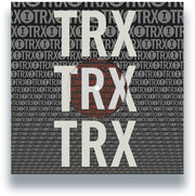 the album cover for Various Artists - Toolroom Trax Sampler Vol. 4