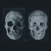 the album cover for Government Alpha - Human Race Was Restored To Life Repeatedly