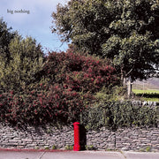 the album cover for Big Nothing - Big Nothing