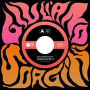 the album cover for Giuliano Sorgini - Savana Selvaggia