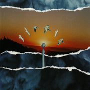 the album cover for Daisyhead - If You Find It Let Me Know [Colored Vinyl]