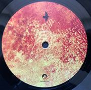 Ólafur Arnalds : And They Have Escaped The Weight Of Darkness (LP, Album, RP, Gat)