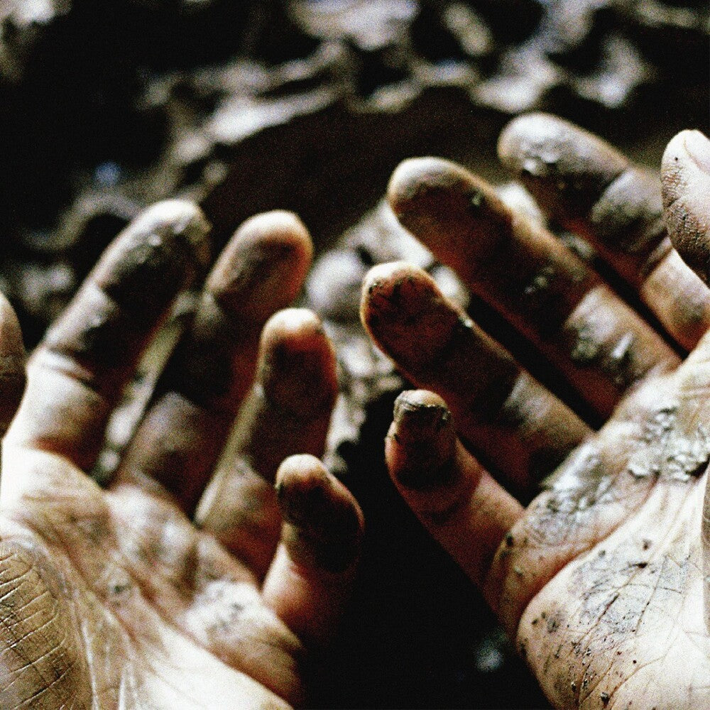 the album cover for Dis Fig - What To Make Of These Mortal Hands [Download Included]