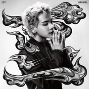 the album cover for JO1 - ANIMAL [Member Solo Jacket ver. MÁME]