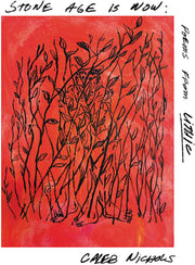 the album cover for Caleb Nichols - Stone Age Is Now: Poems From Lithic