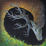 the album cover for Petrels - Infangthief [Digipak]