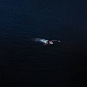 the album cover for Mustard Service - Paradise