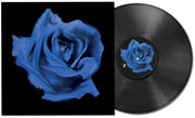 the album cover for Current Joys - Rosebud