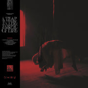 the album cover for Knocked Loose - Tear In The Fabric Of Life (Brwn) [Colored Vinyl]